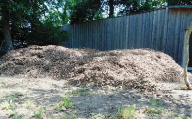 Bild 7 Die Holzhackschnitzelberge.JPG