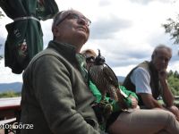 Bild 12 Klaus mit jungem Falken.JPG