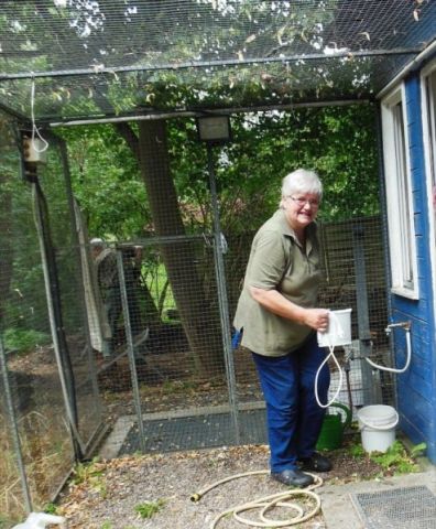 Bild 19 Erika beim Zauben - die Kueche sah wie neu aus.JPG