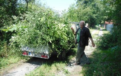 Bild 10 Heinz beim Beladen des Anaengers mit Strauchschnittgut.JPG